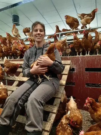 Ferme Catteau 